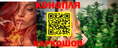 крисы Краснознаменск