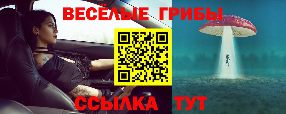 Галлюциногенные грибы Psilocybe  закладка  Касимов  Вход с VPN 